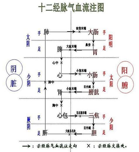 君火 相火|论相火 – 中医锦囊